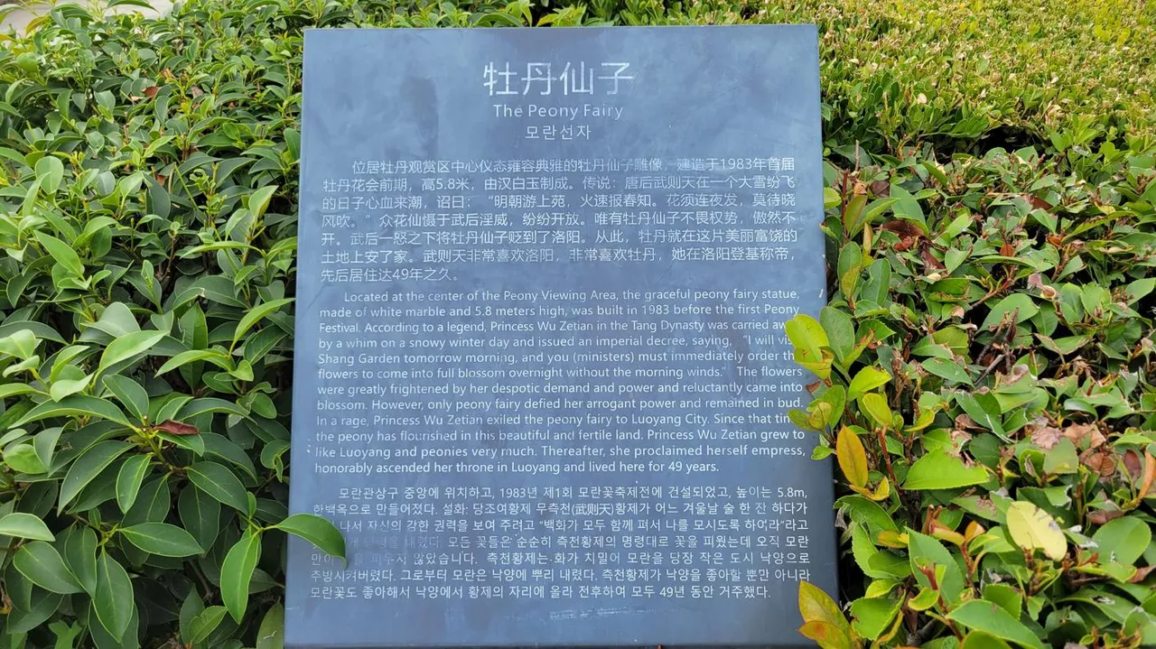 20240826_160747.jpg