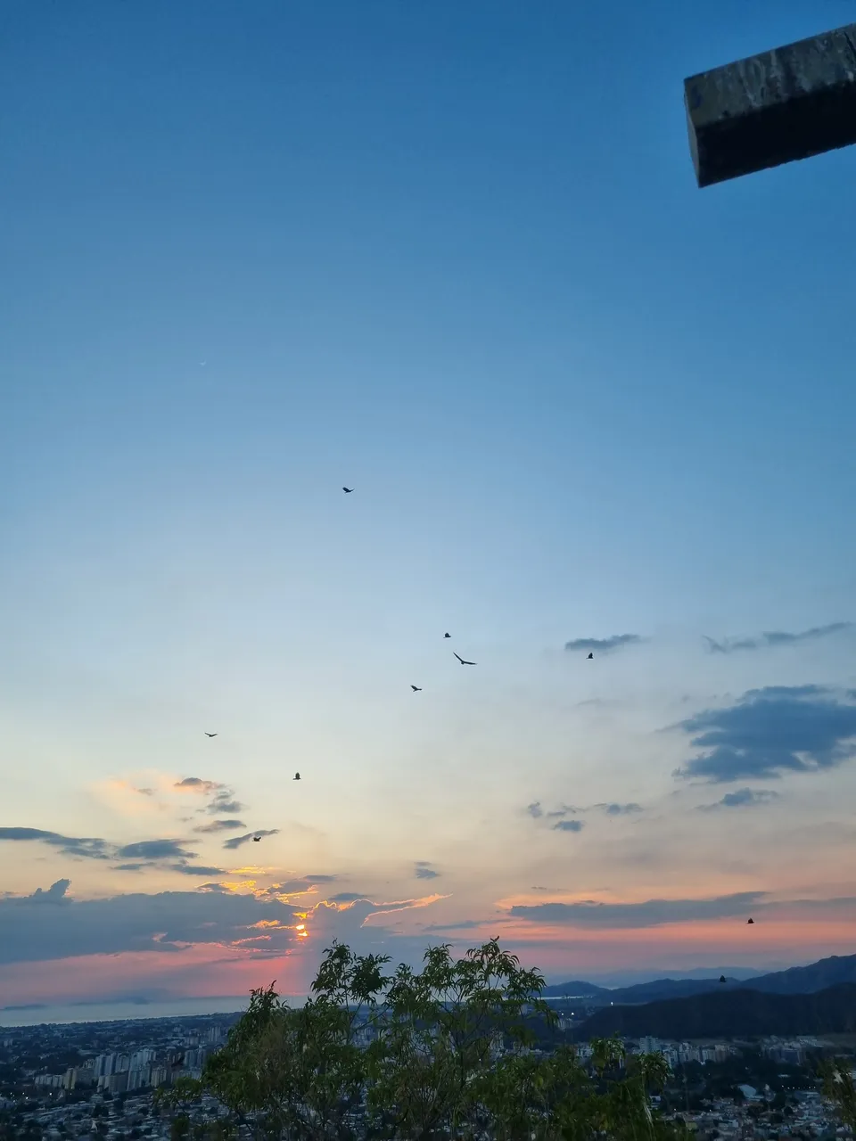 20250102_180547.jpg