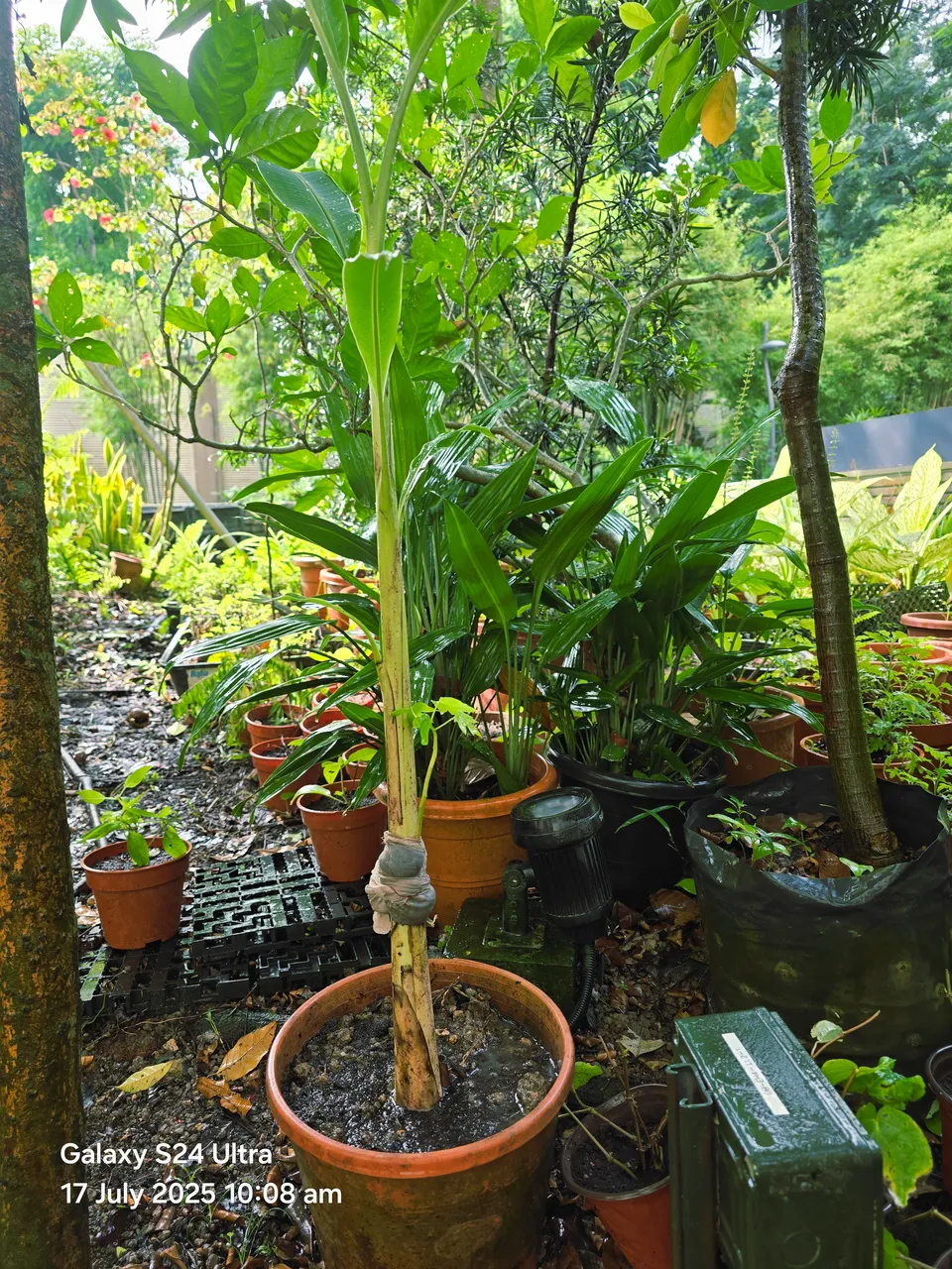 20250717_100820.jpg
