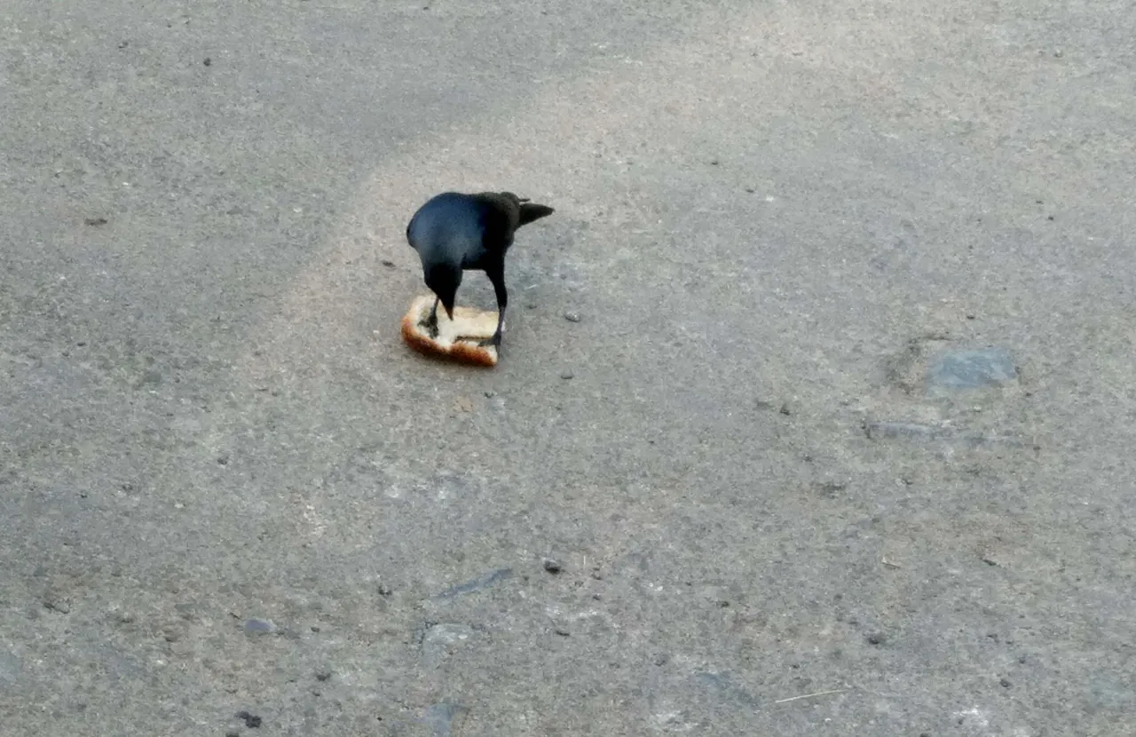 20220328_072842.jpg