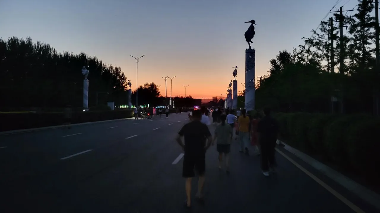 20250713_195113.jpg