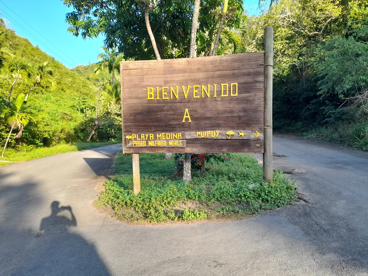 20220123_171025.jpg
