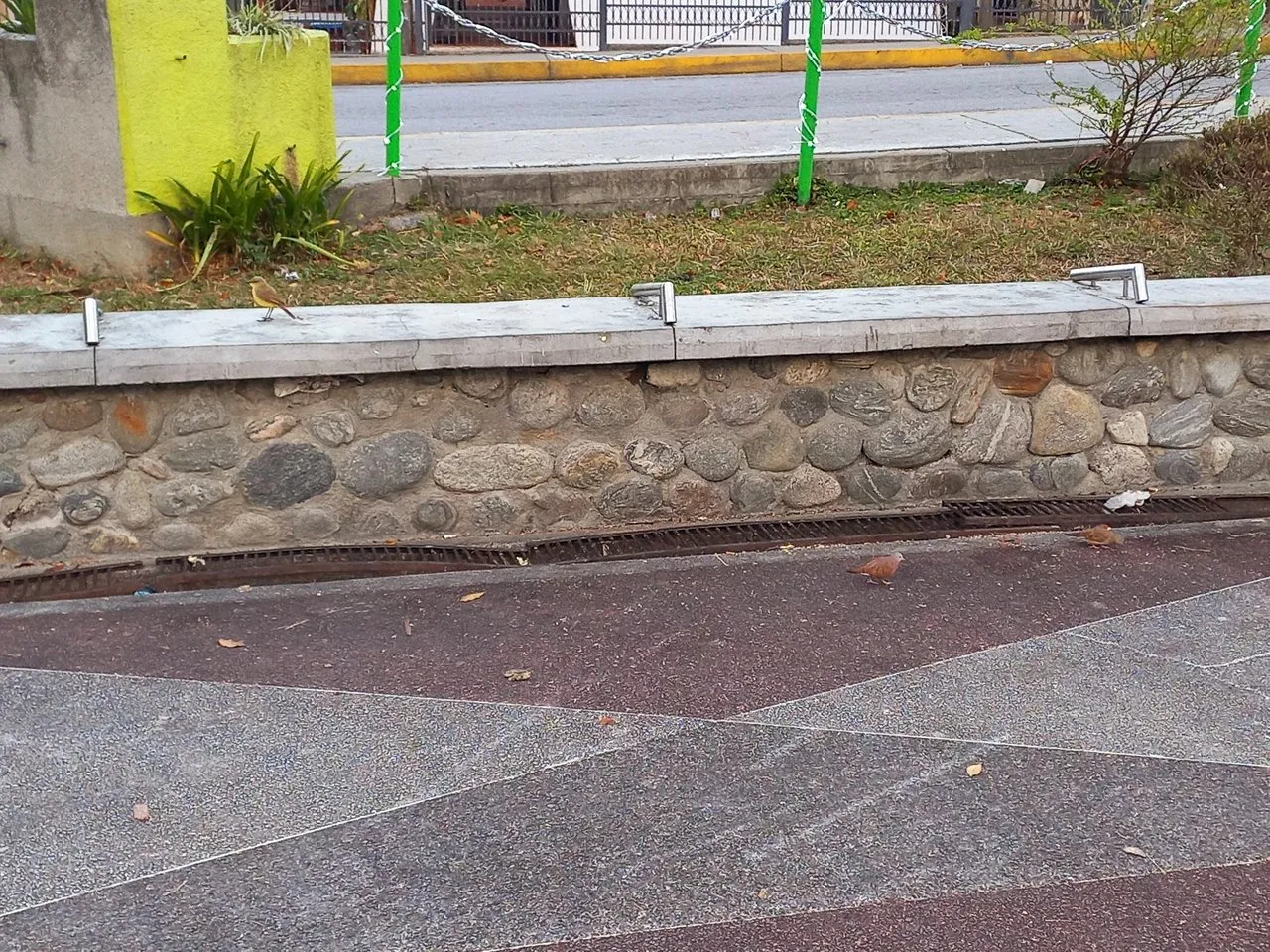 20240127_072040.jpg