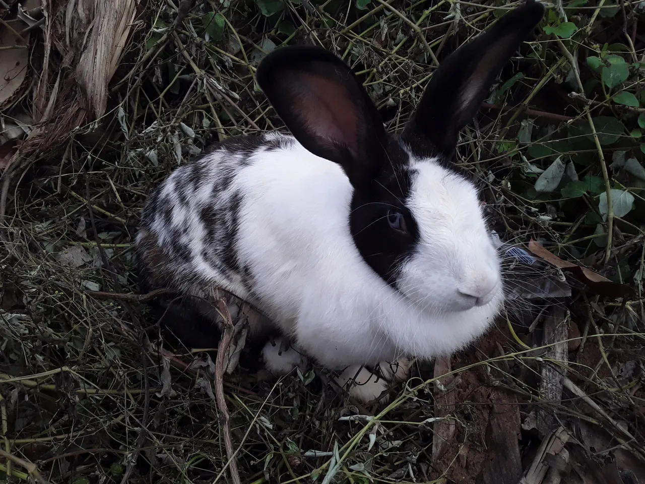 20201124_171954.jpg