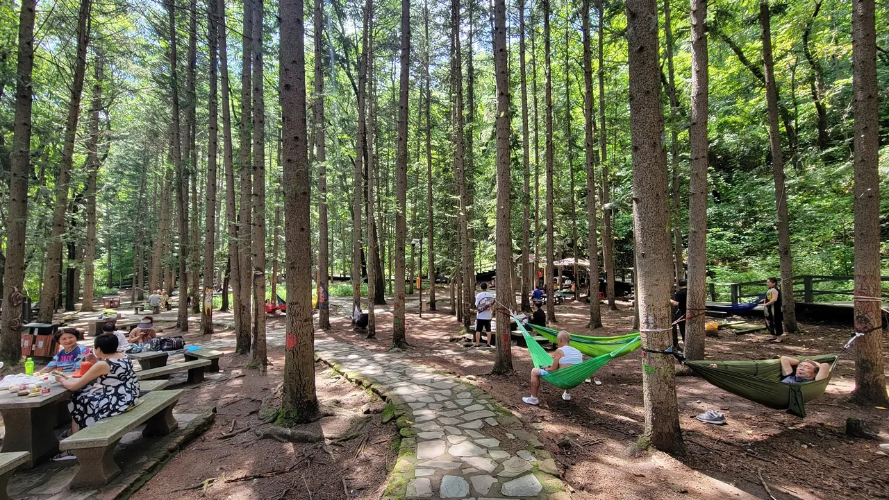 20220801_104751.jpg