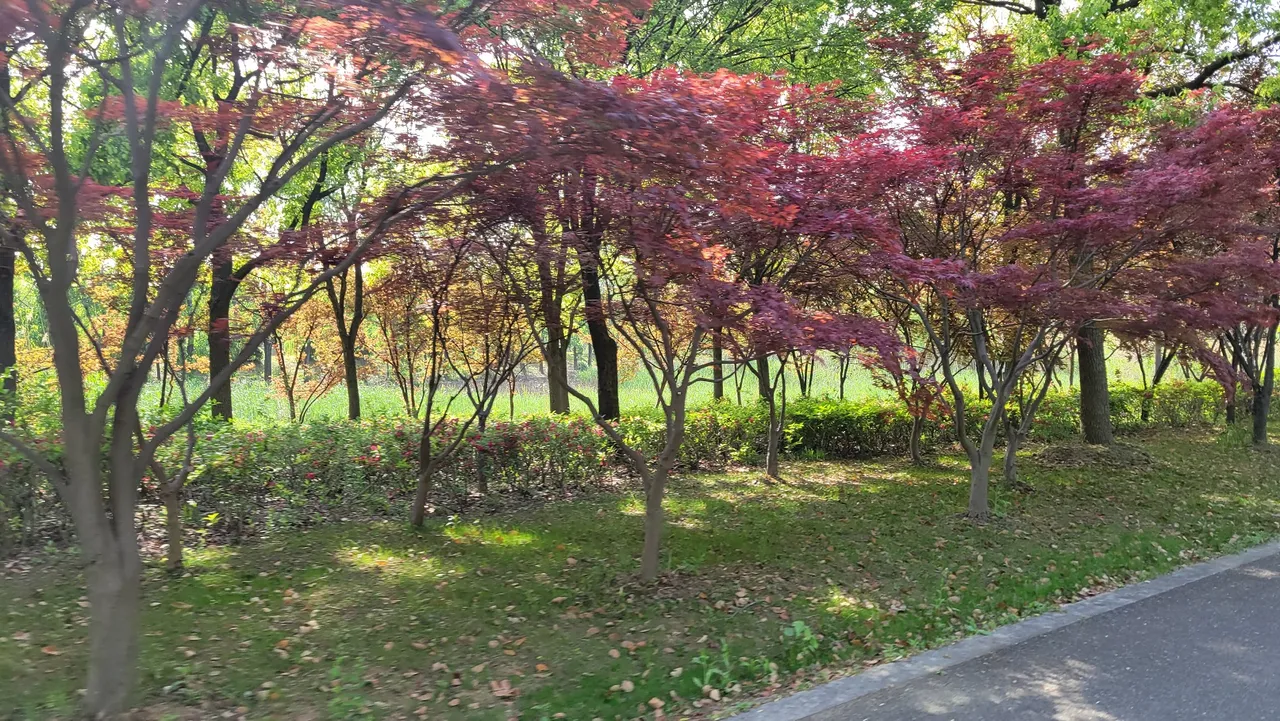 20230421_153420.jpg