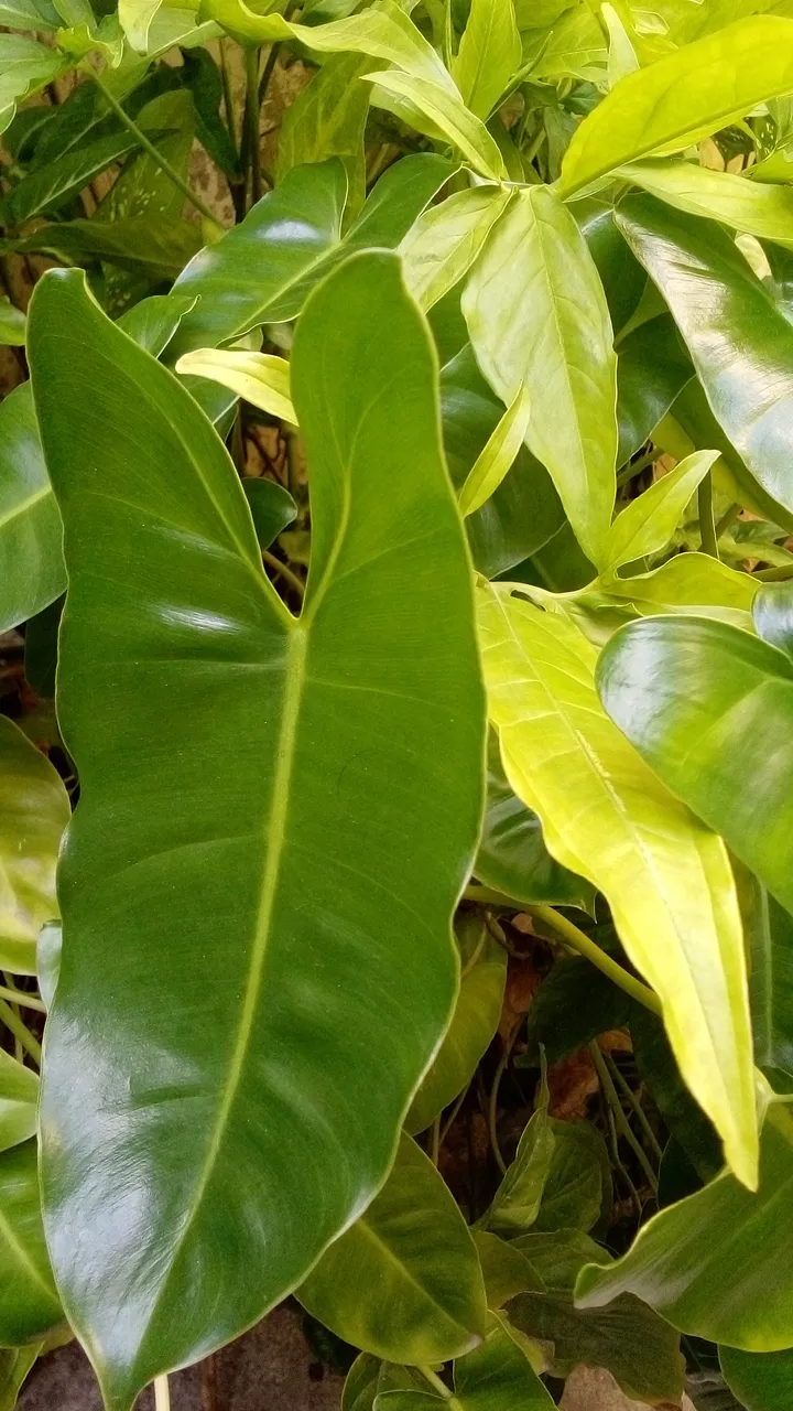 20211025_142423.jpg