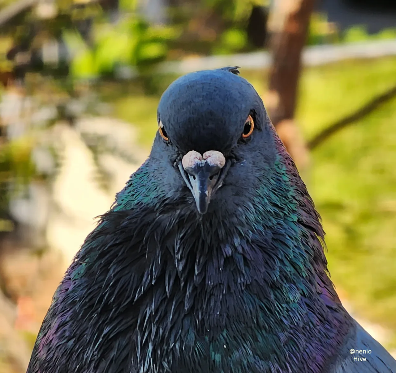 looking-you-001.jpg