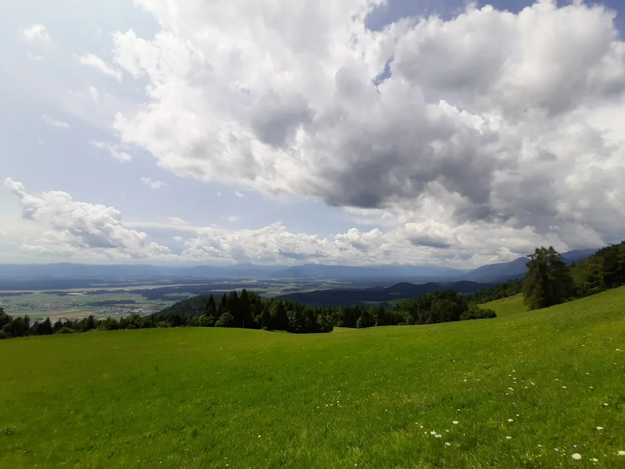 20190713_132841.jpg
