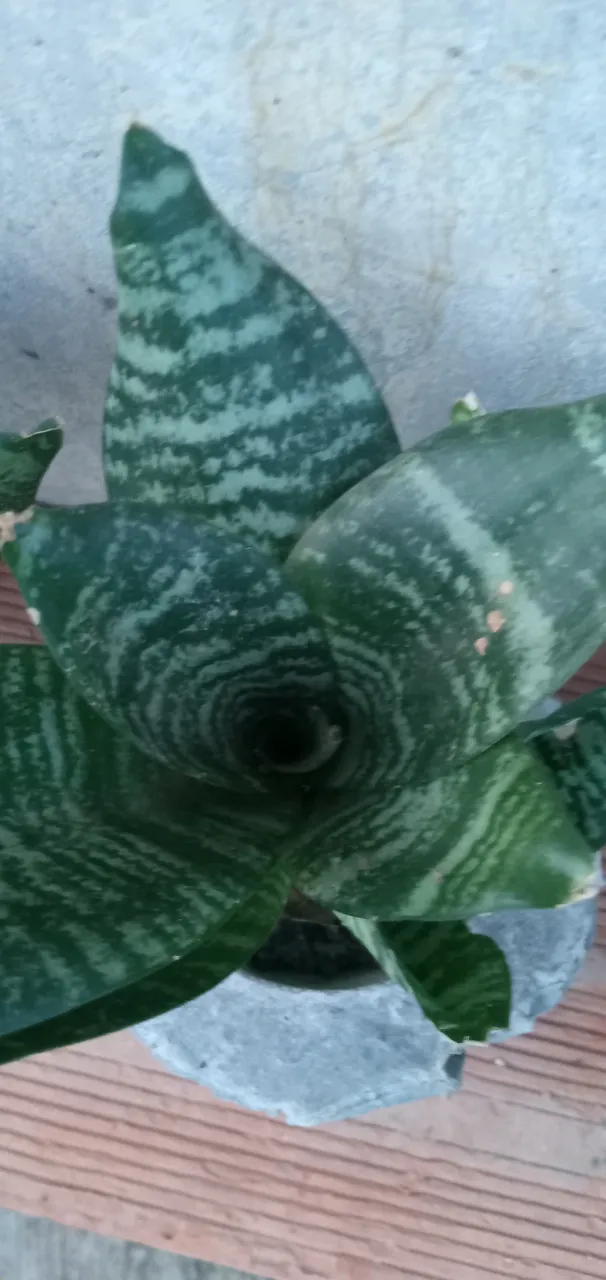 20250630_185252.jpg