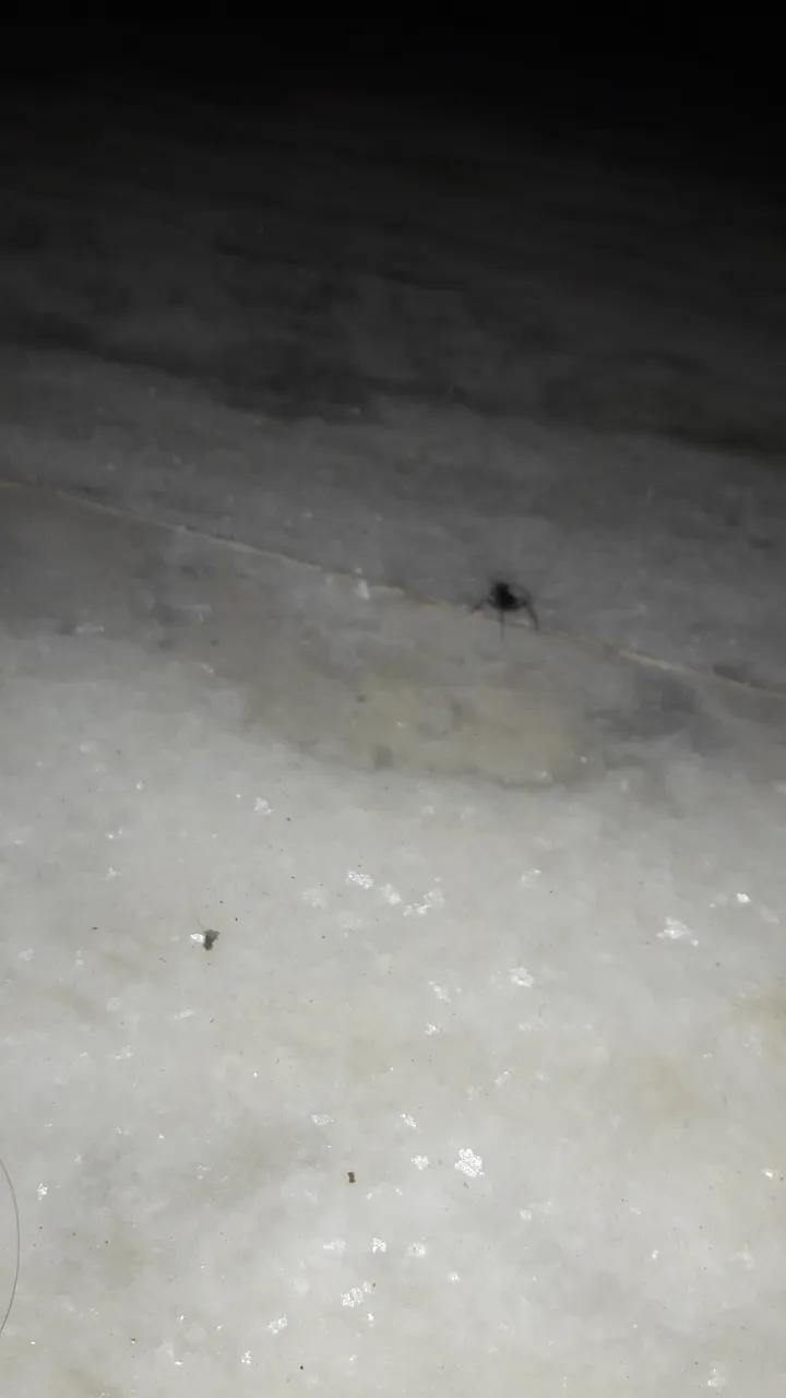 20200813_171655.jpg