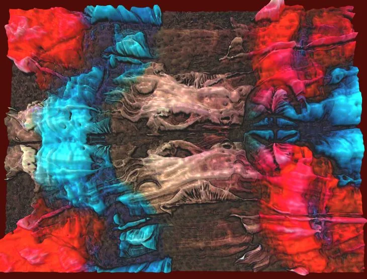 ROHRSCHACH 3D.JPG
