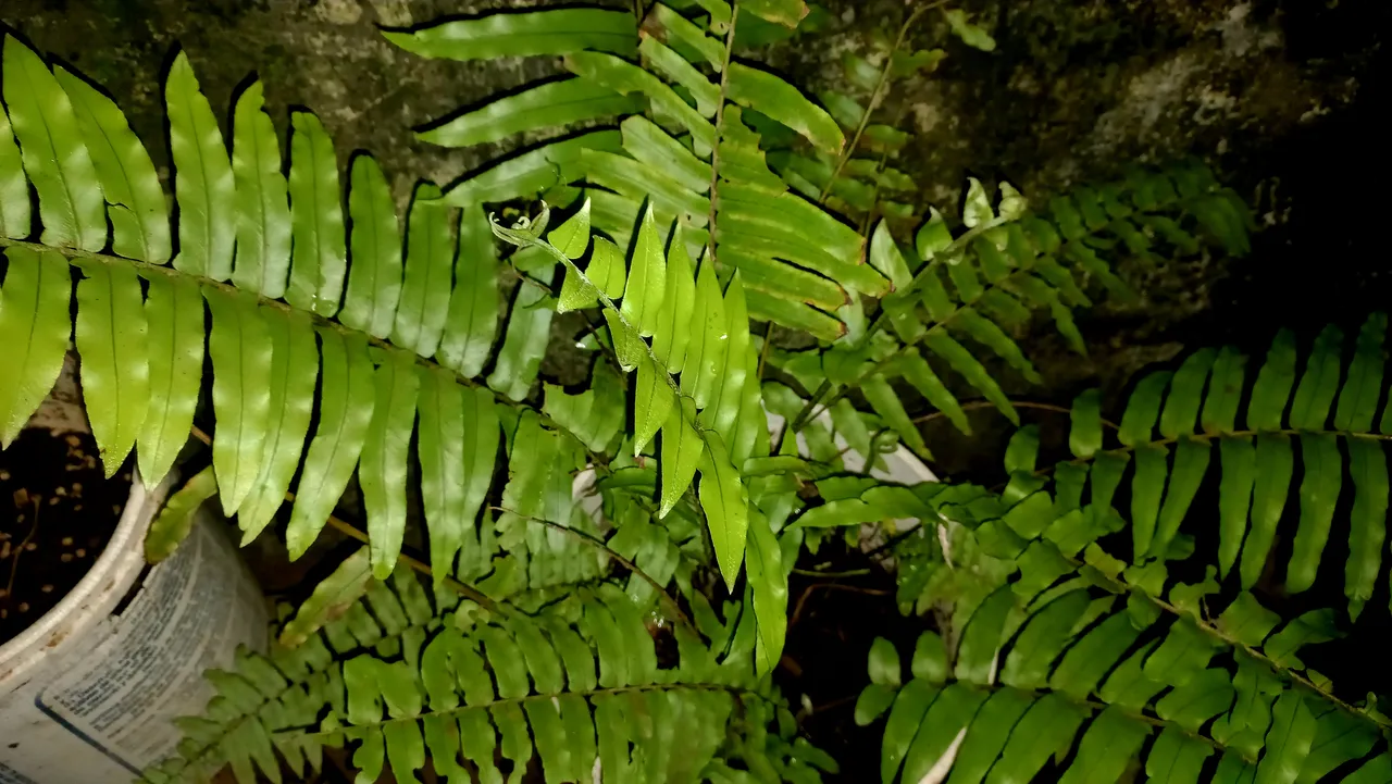 20240811_205620.jpg