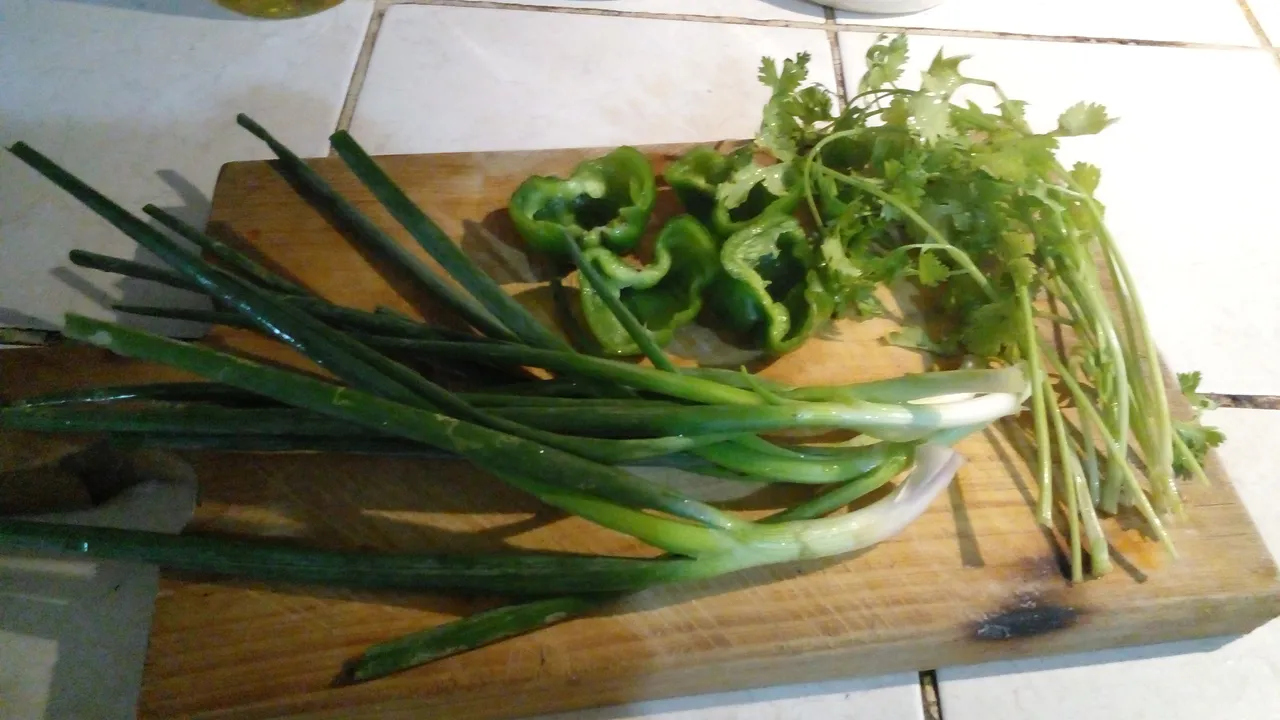 20220418_093738.jpg