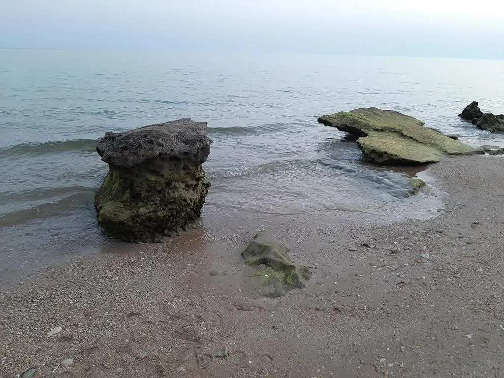 20230430_183846.jpg