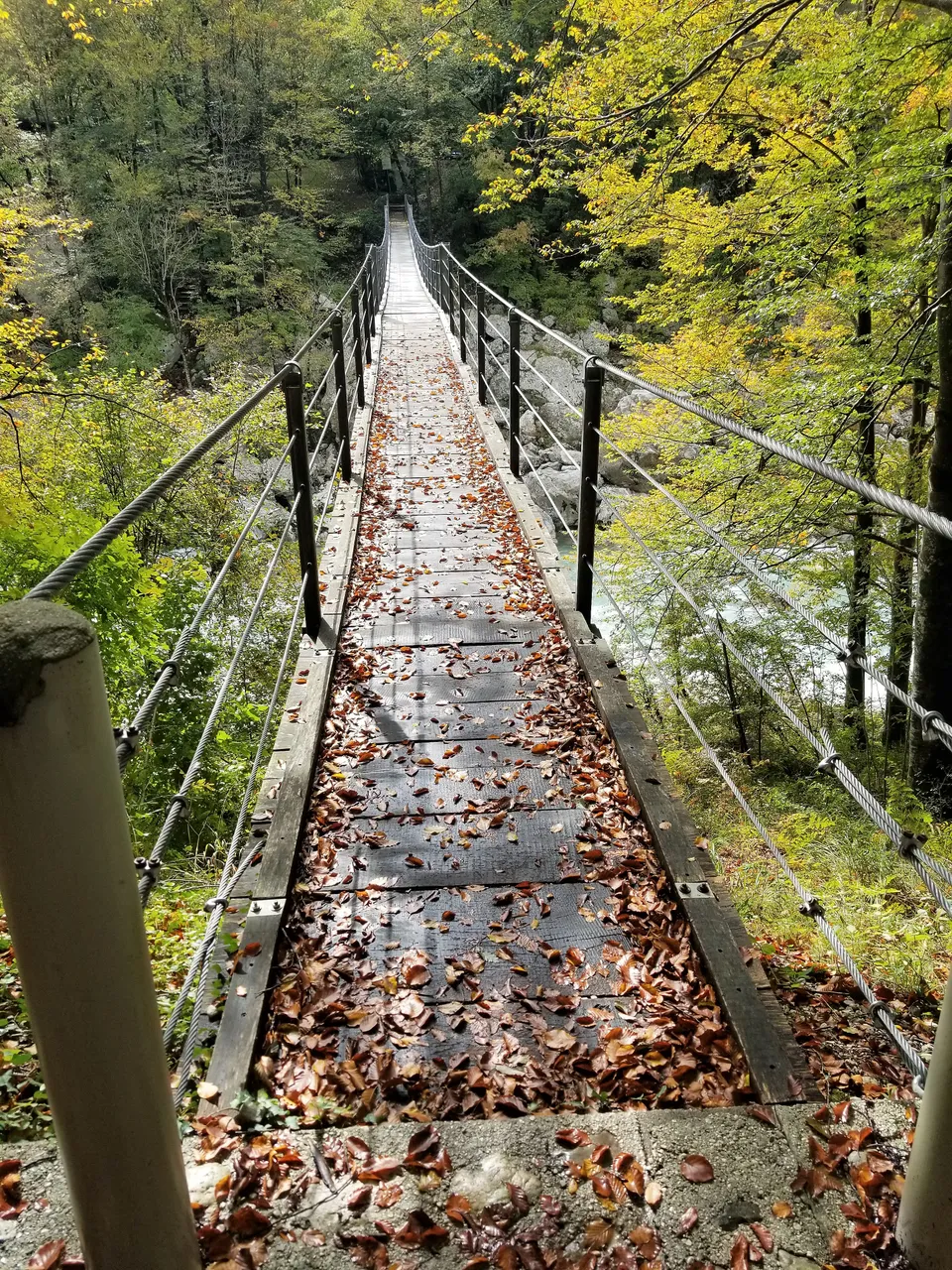 20181007_121439.jpg