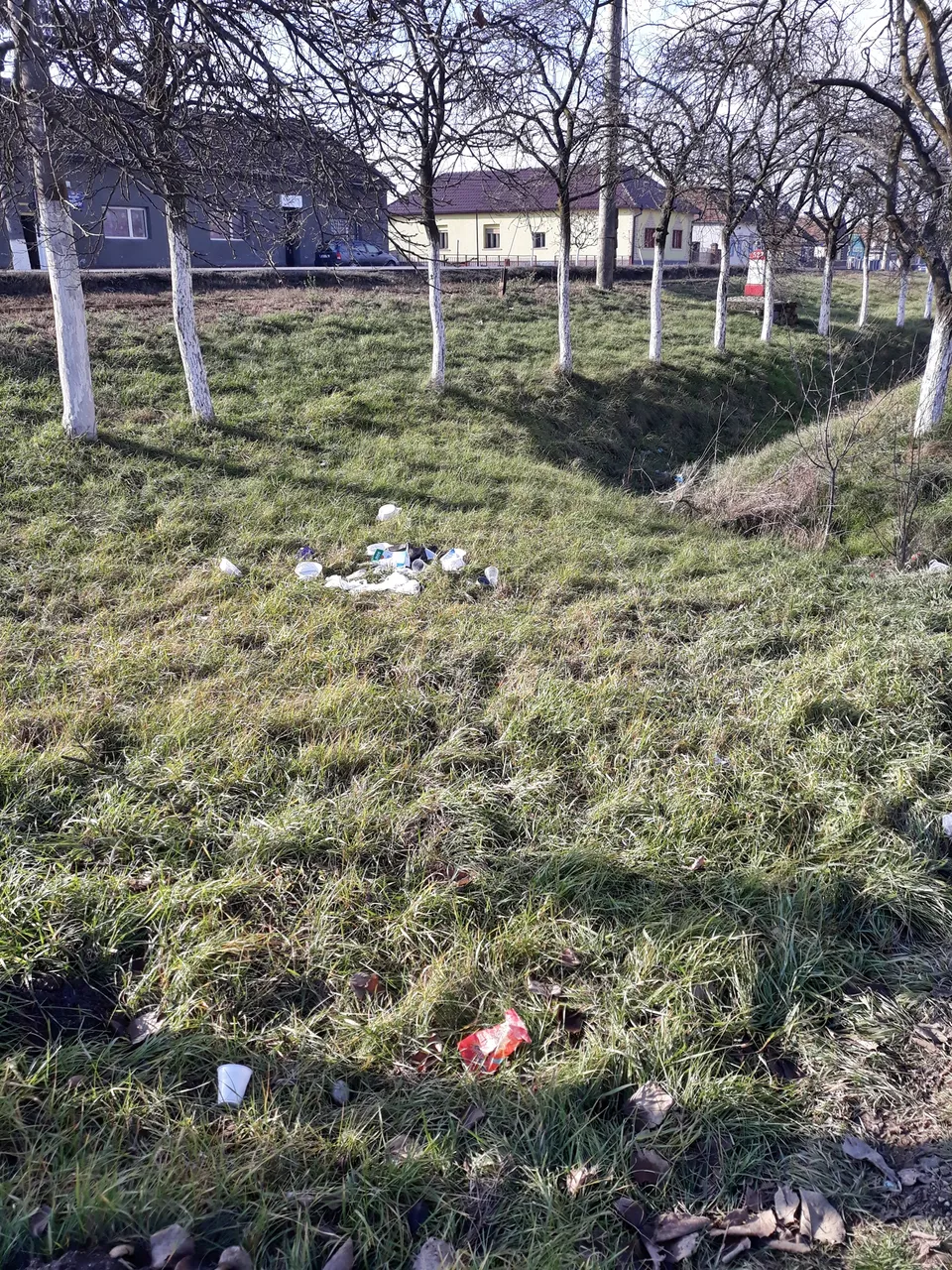 20171208_121022.jpg