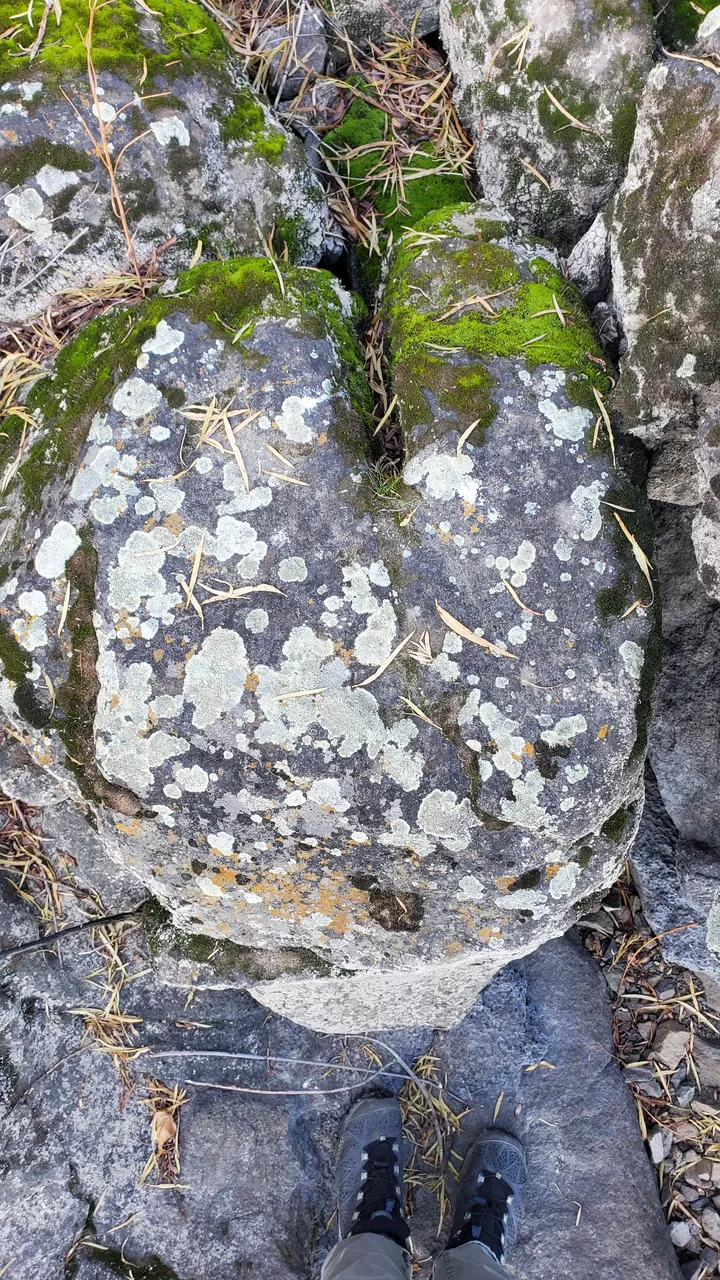 20201129_145349.jpg