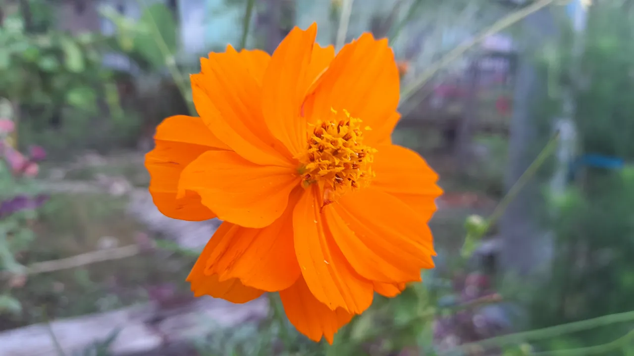 20220126_073712.jpg
