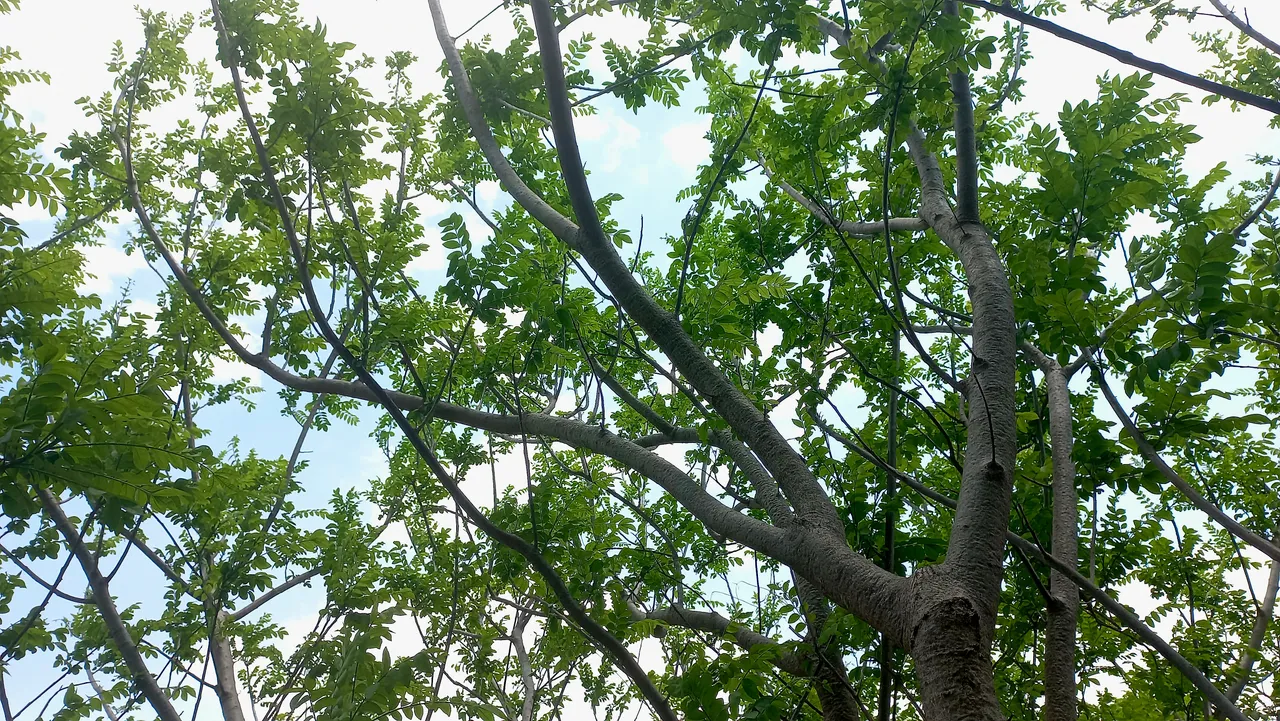 20240514_121429.jpg