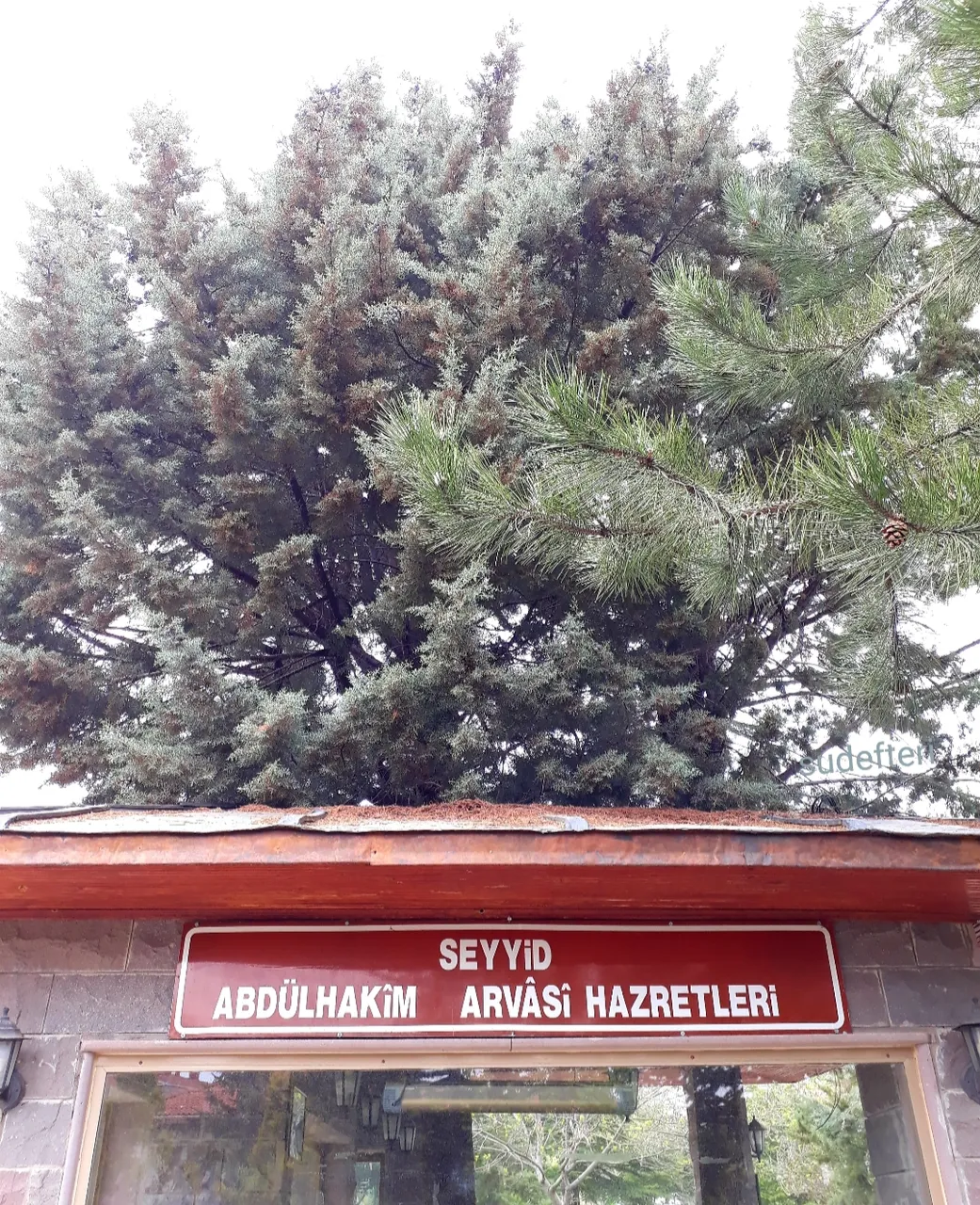 20231213_173610.jpg