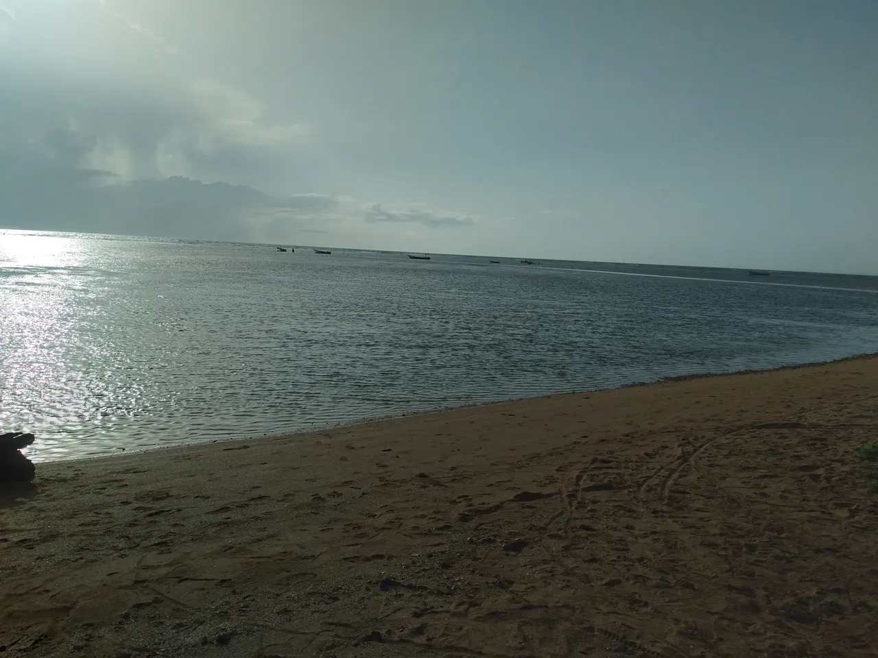20250830_075910.jpg