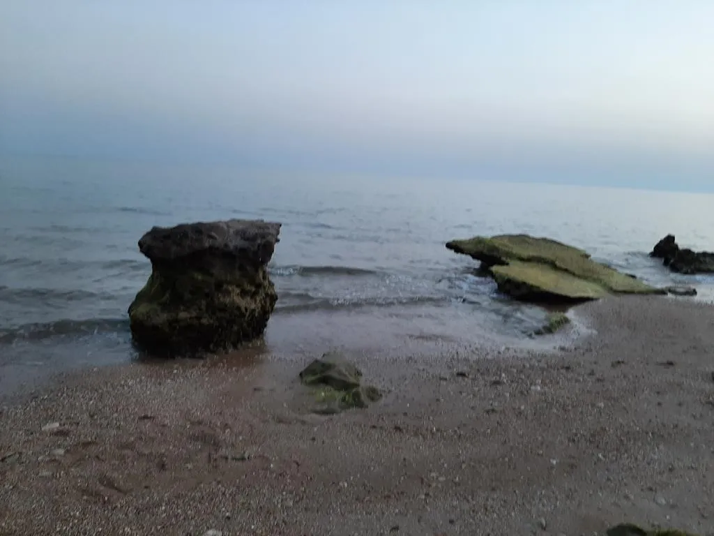 20230430_183842.jpg