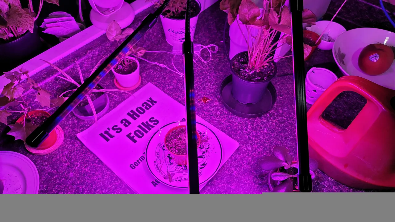 20201128_042916.jpg