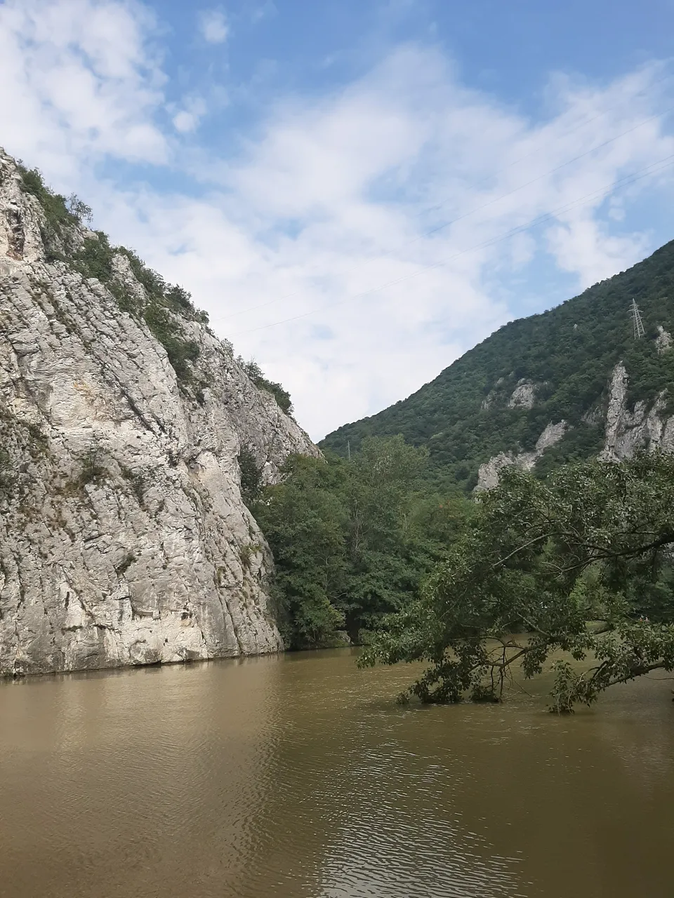20200816_144947.jpg