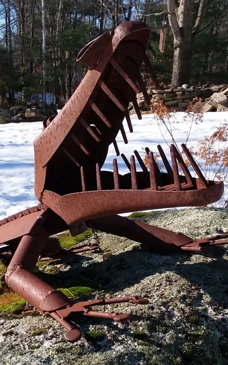 20191215_085459.jpg