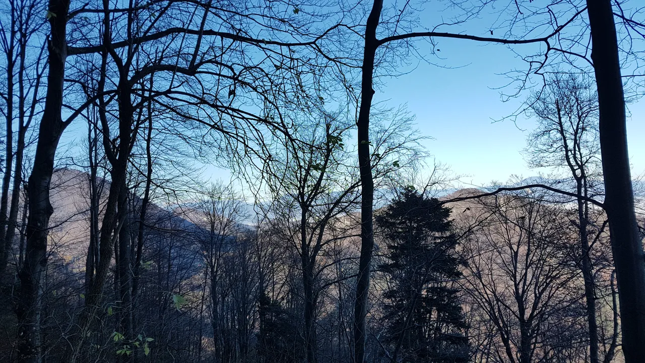 20211121_112404.jpg