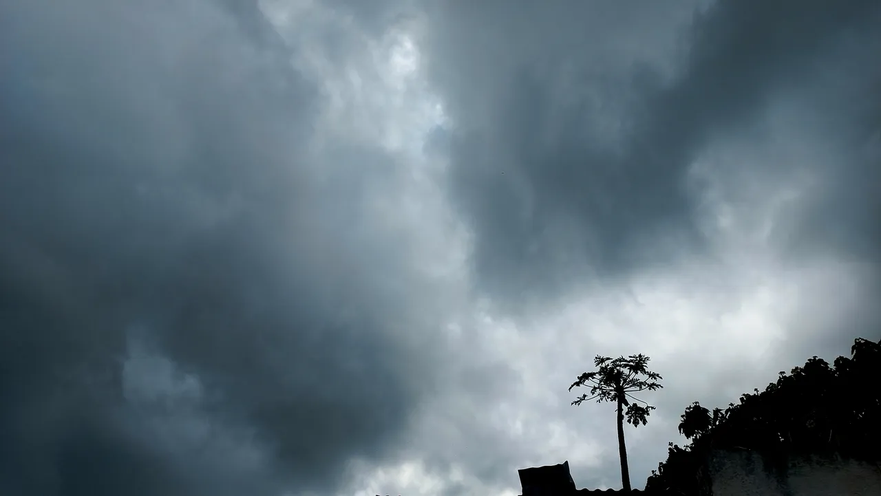 20250722_102011.jpg