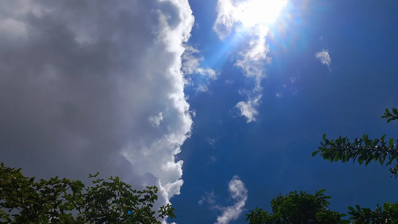 20250722_113141.jpg