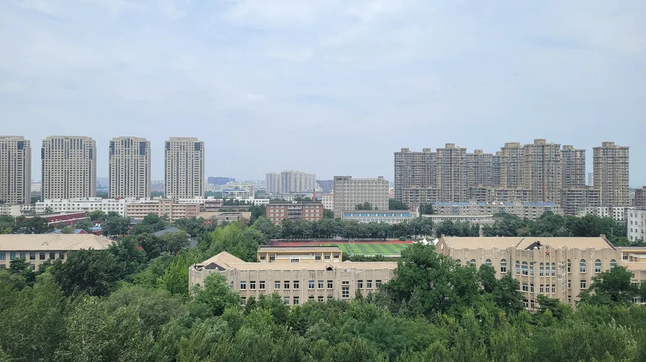 20250726_115509.jpg