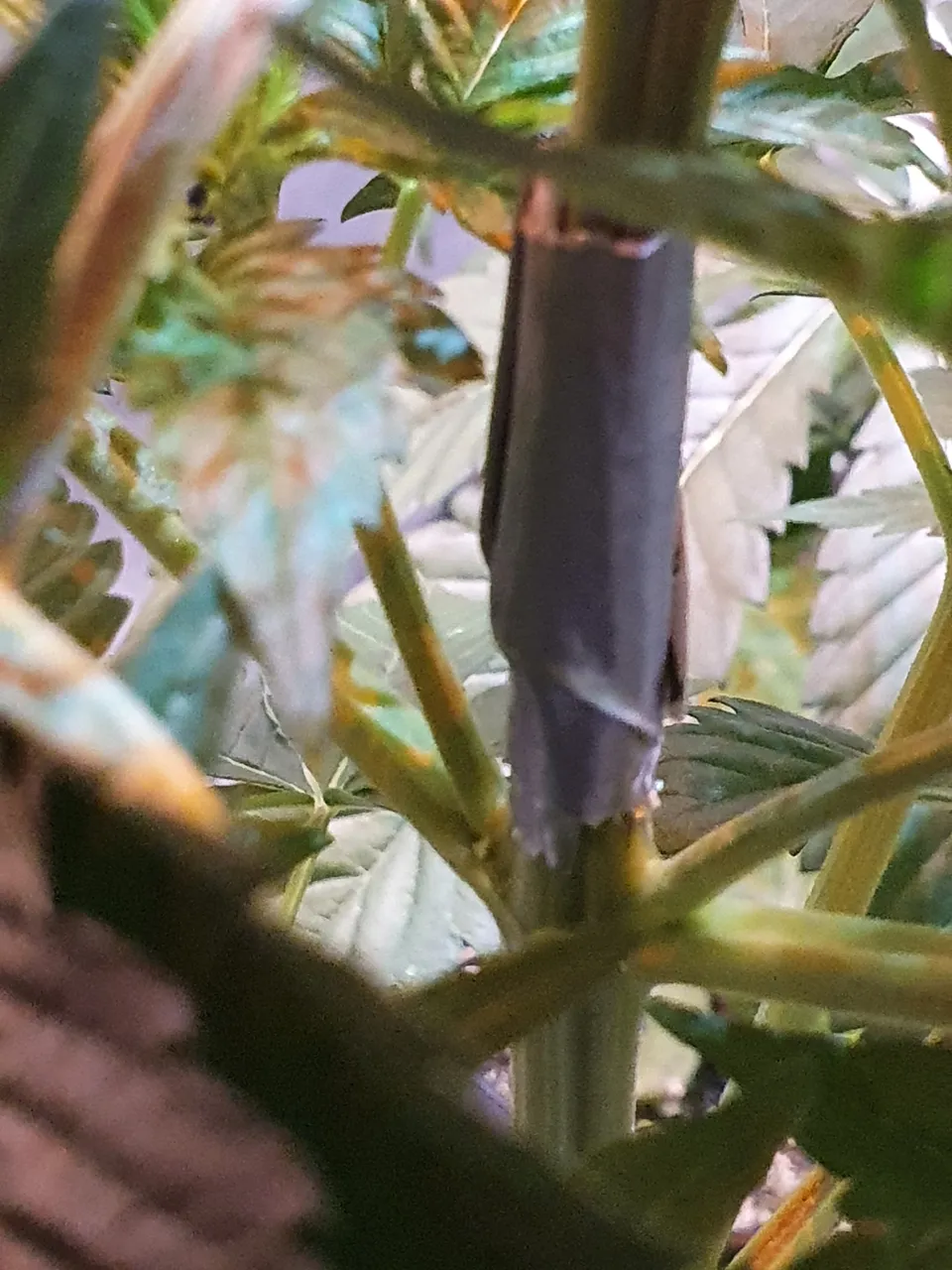 20220520_153848.jpg