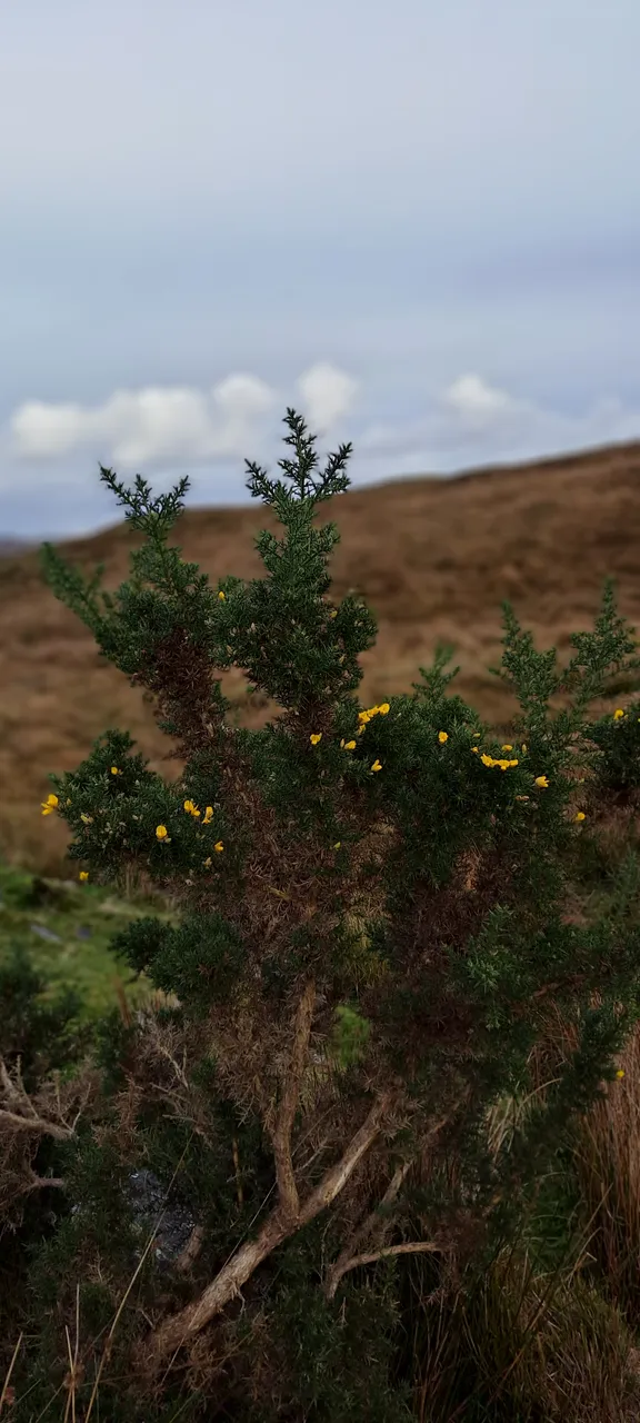 20231021_163943.jpg