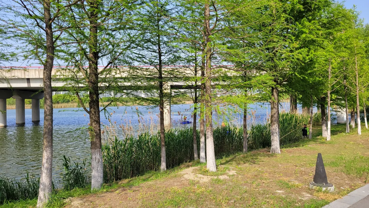 20230421_153913.jpg