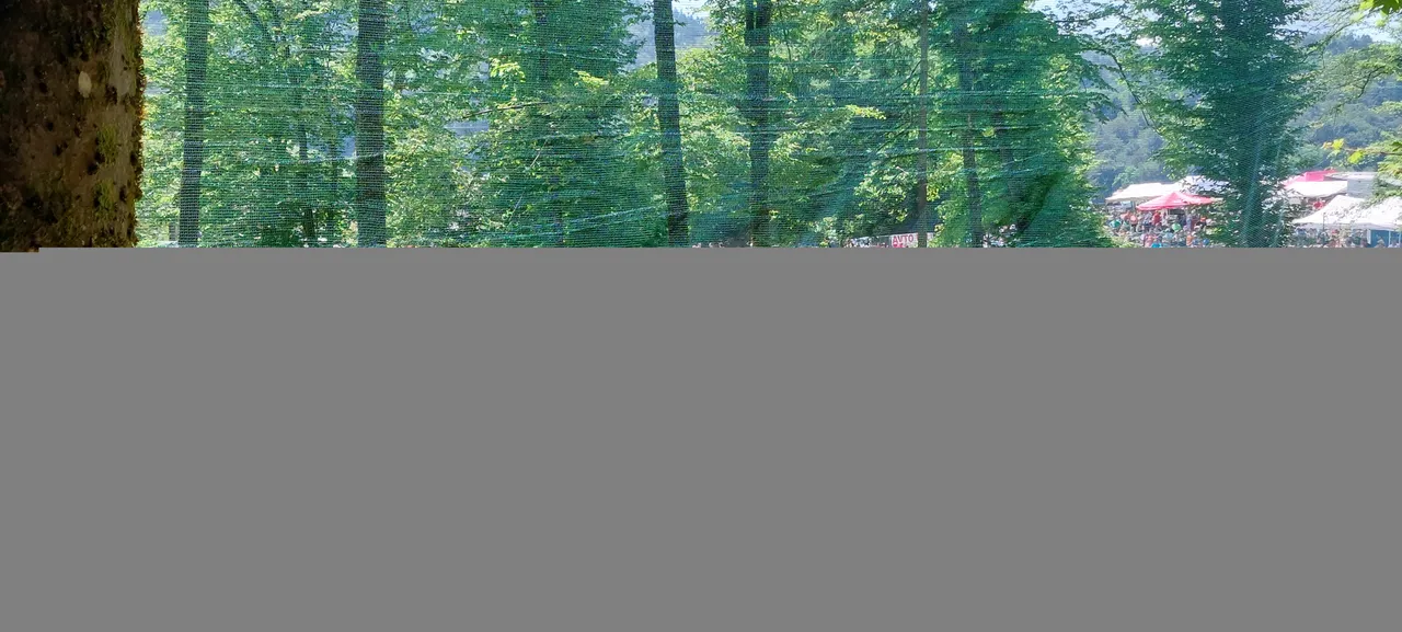 20220515_124116.jpg