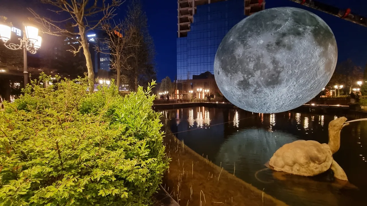 20220413_205530.jpg