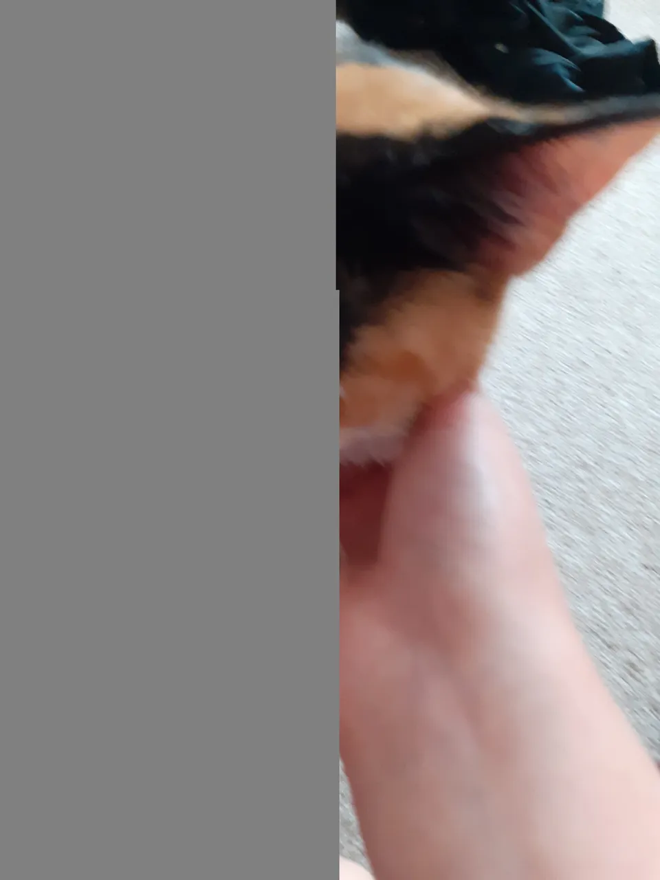 20210727_123213.jpg