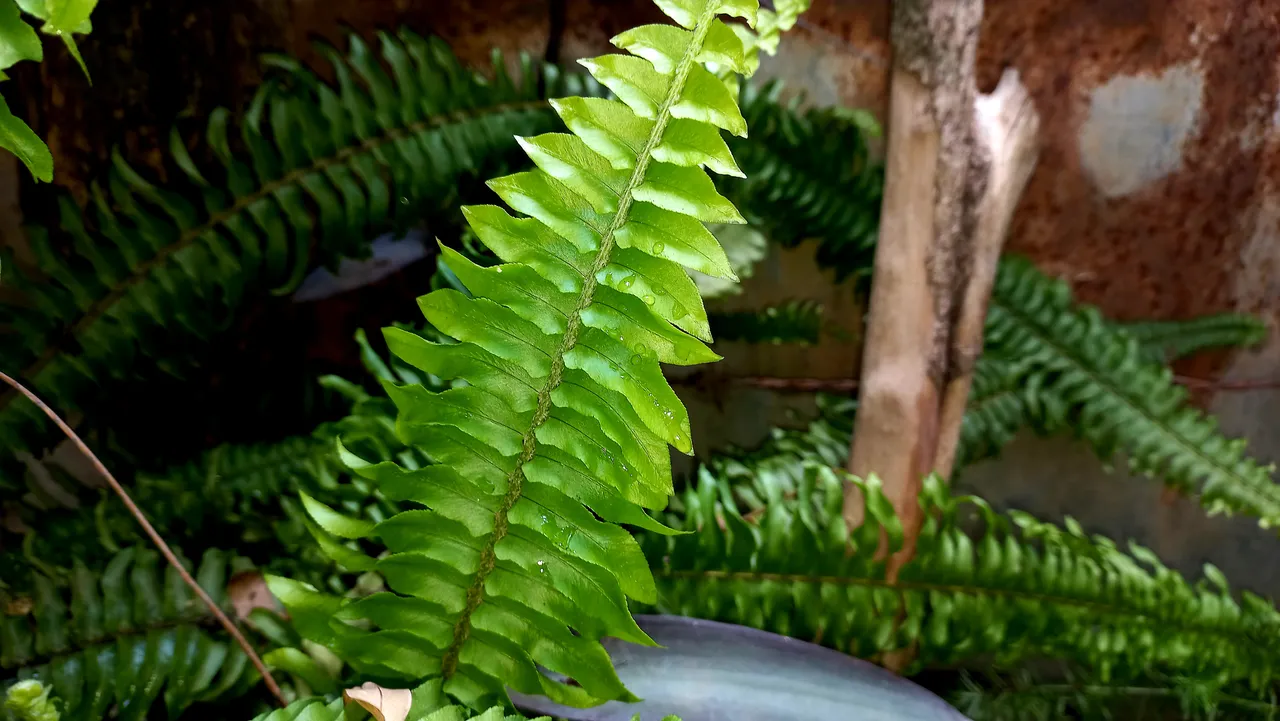 20231001_121127.jpg
