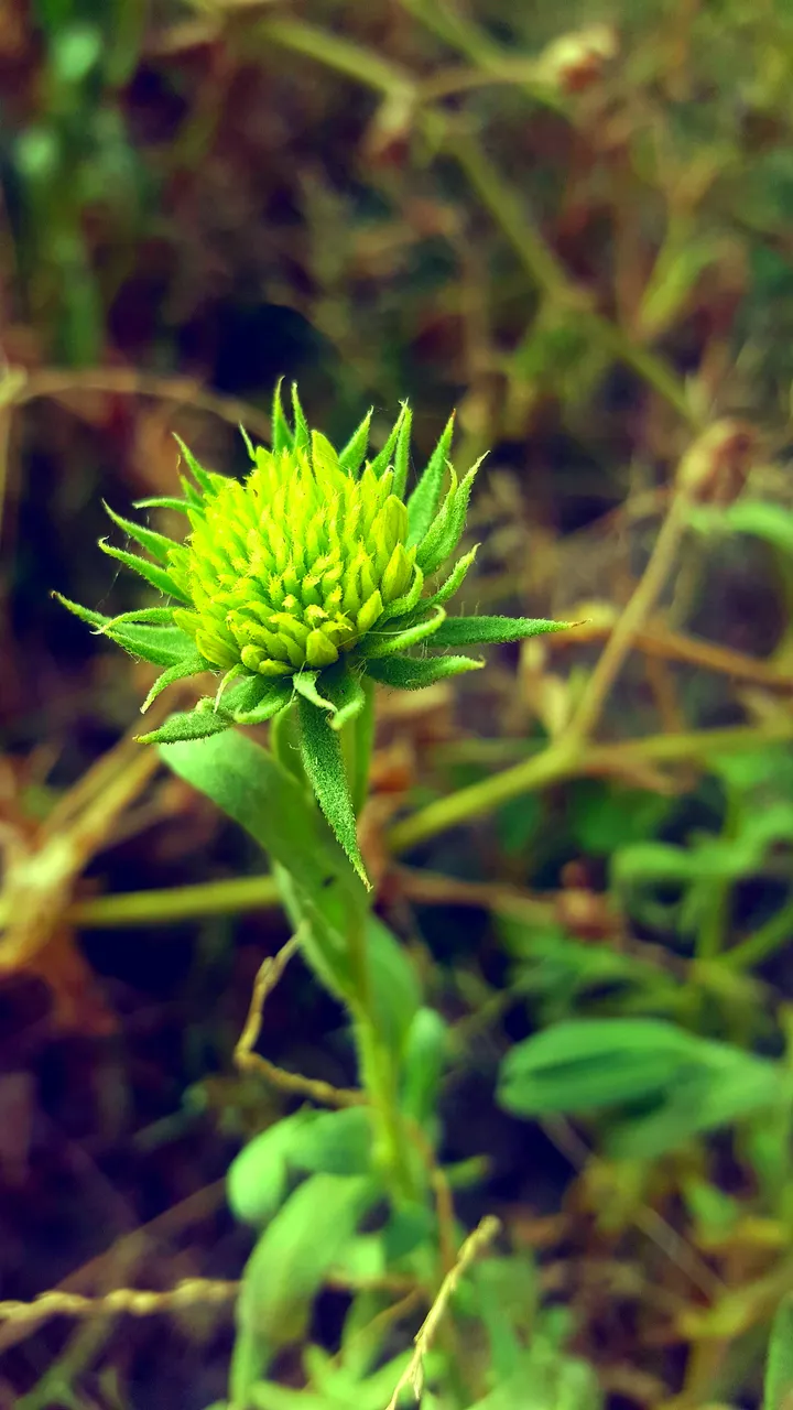 20190422_003004.jpg