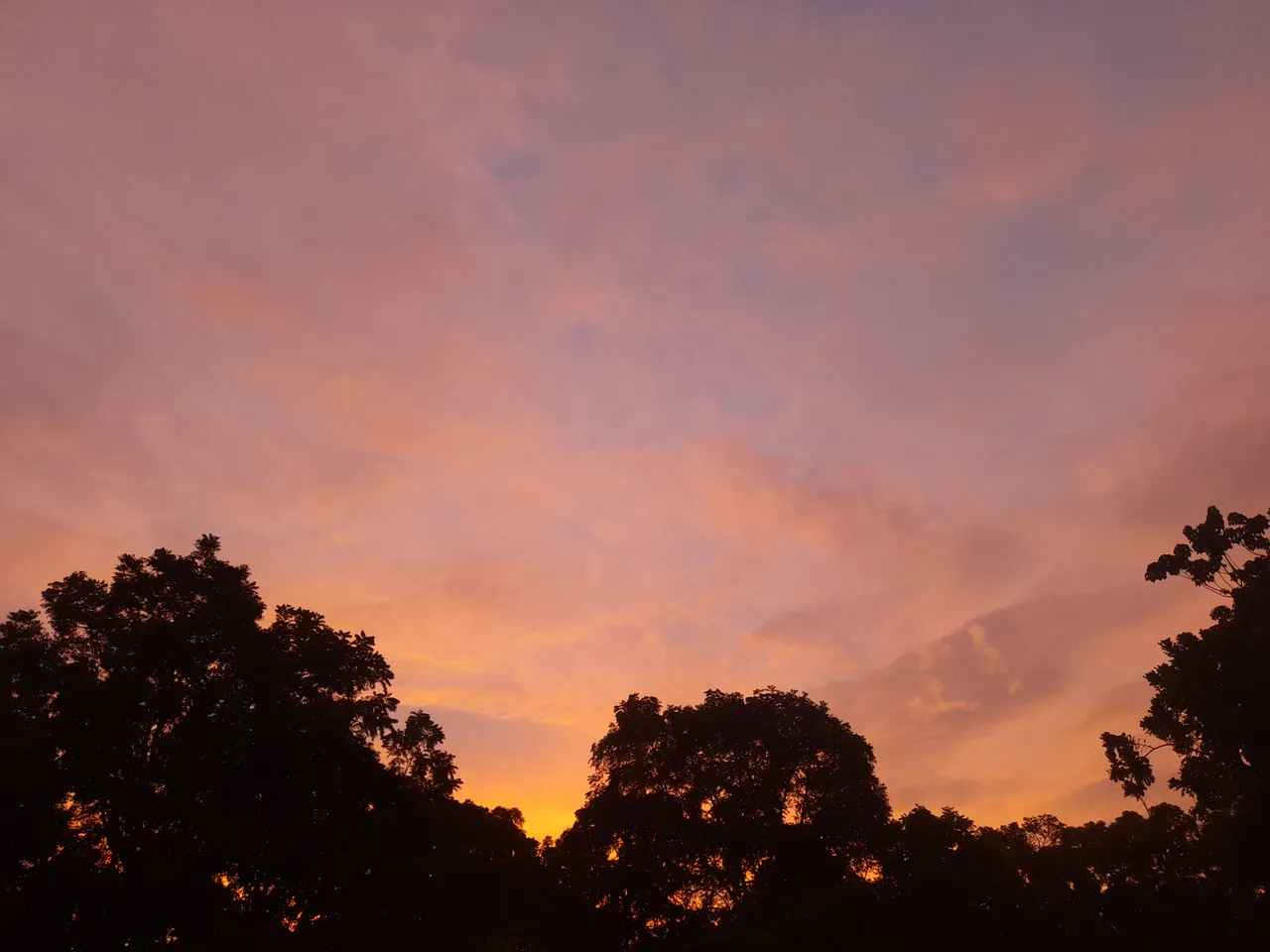 20240824_183448.jpg