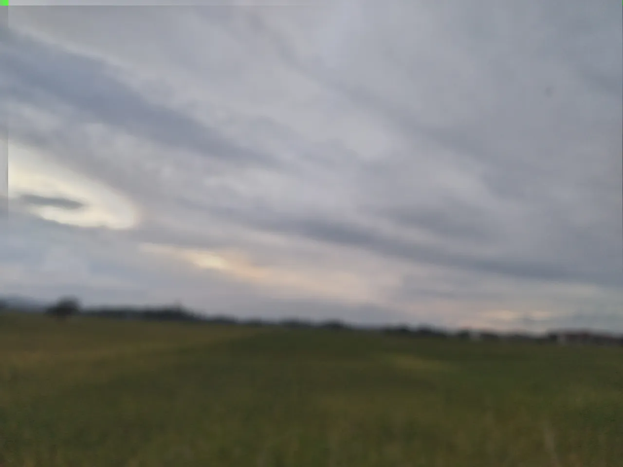 20241129_175024.jpg