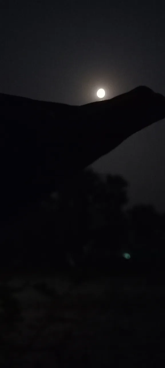 20220318_204543.jpg