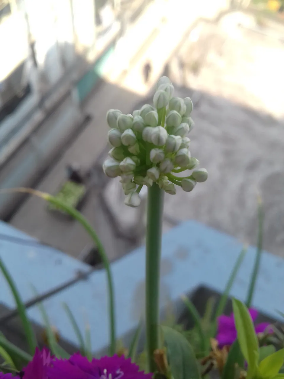 20190405_142944.jpg