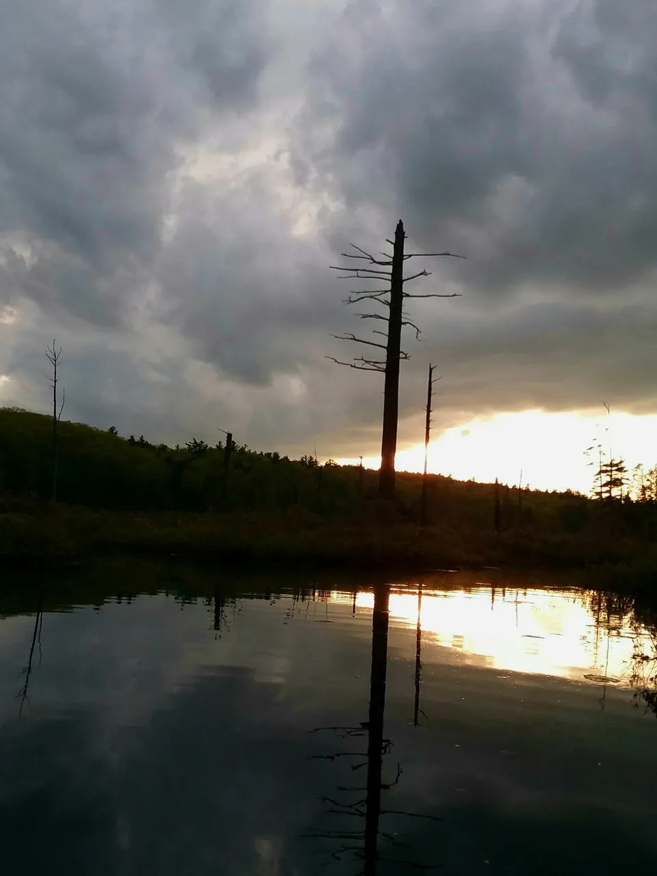 20190914_084143.jpg