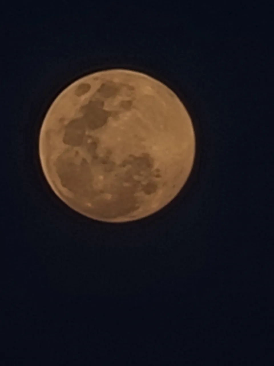 20230106_184203.jpg