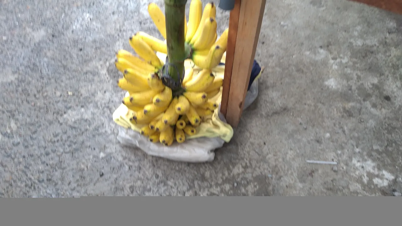 20240427_090026.jpg