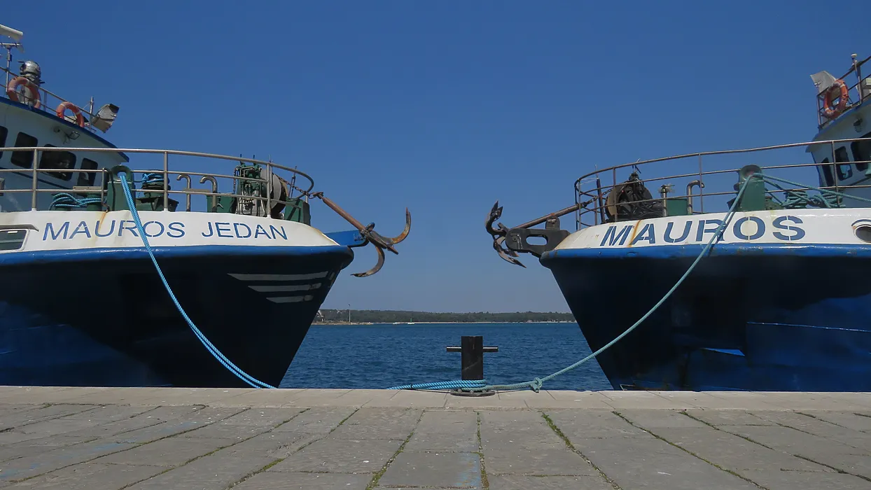 IMG_1826 malo.jpg